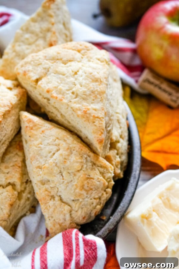 Savory White Cheddar Scones 3 A close up image of a pan of baked scones.