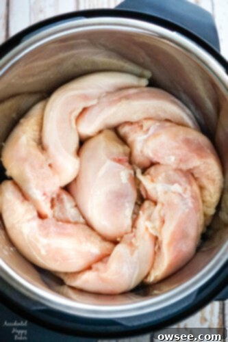 The Ultimate Big Batch Instant Pot Shredded Chicken 4 The chicken is placed on it's side in the instant pot to maximize space.