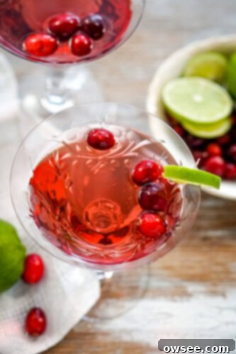 Sparkling Cranberry Moscato Punch 4 A close-up view of a glass filled with effervescent cranberry moscato punch, garnished with fresh cranberries and a lime slice, showcasing its inviting bubbles and vibrant color.