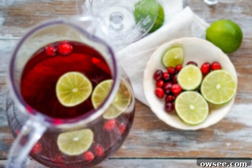 Sparkling Cranberry Moscato Punch 5 A elegant glass pitcher filled with vibrant cranberry moscato punch, surrounded by bowls of fresh sliced limes and whole cranberries, creating a festive display.