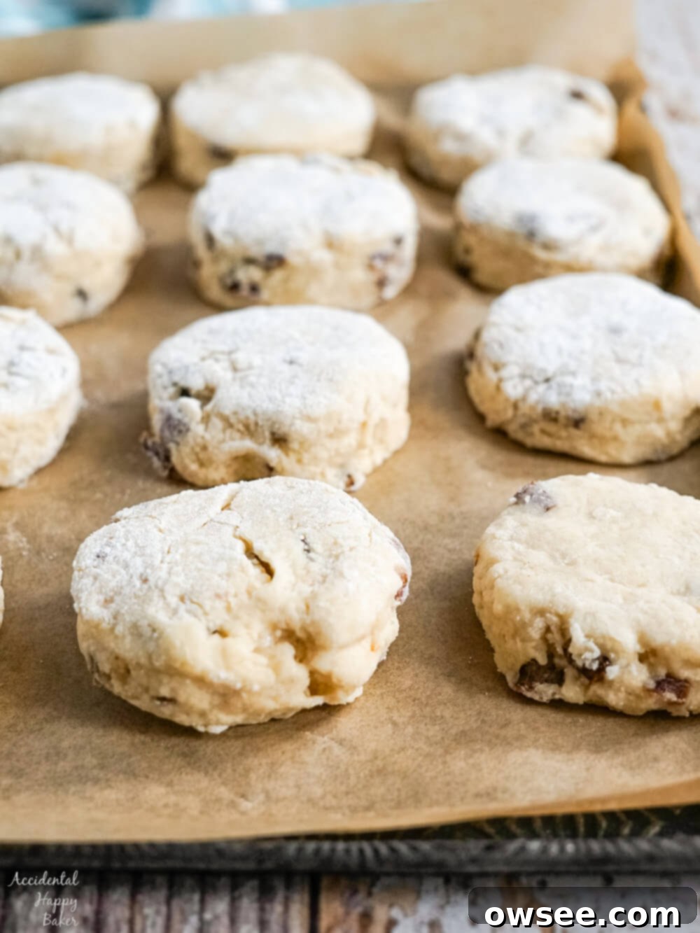 Scone dough formed into a round shape on a floured surface.