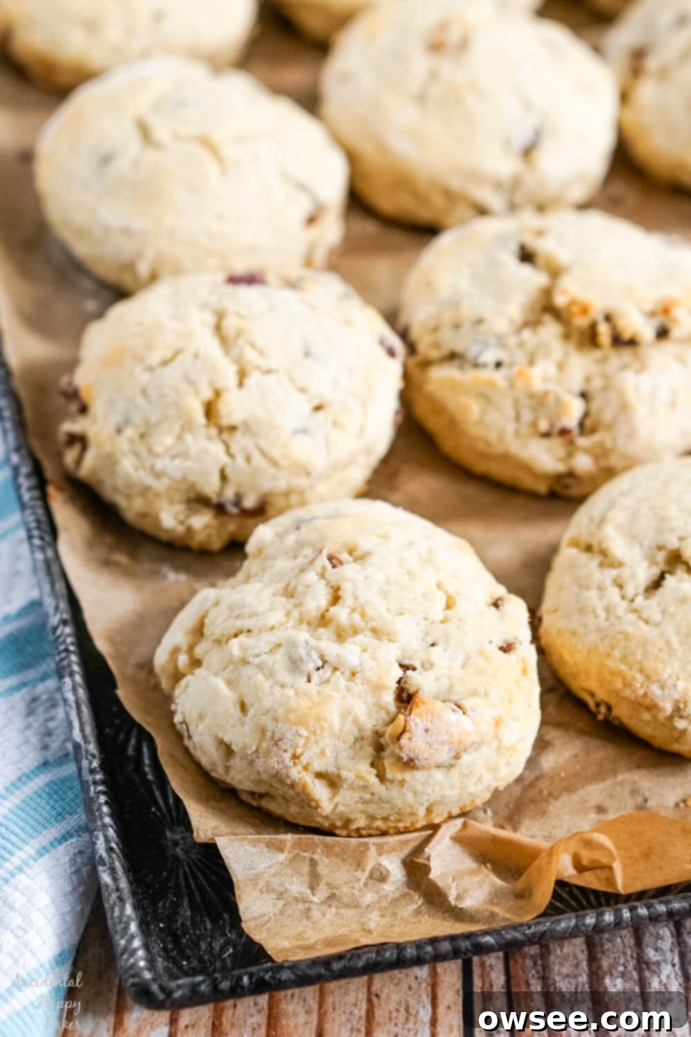 A tray of freshly baked date scones.