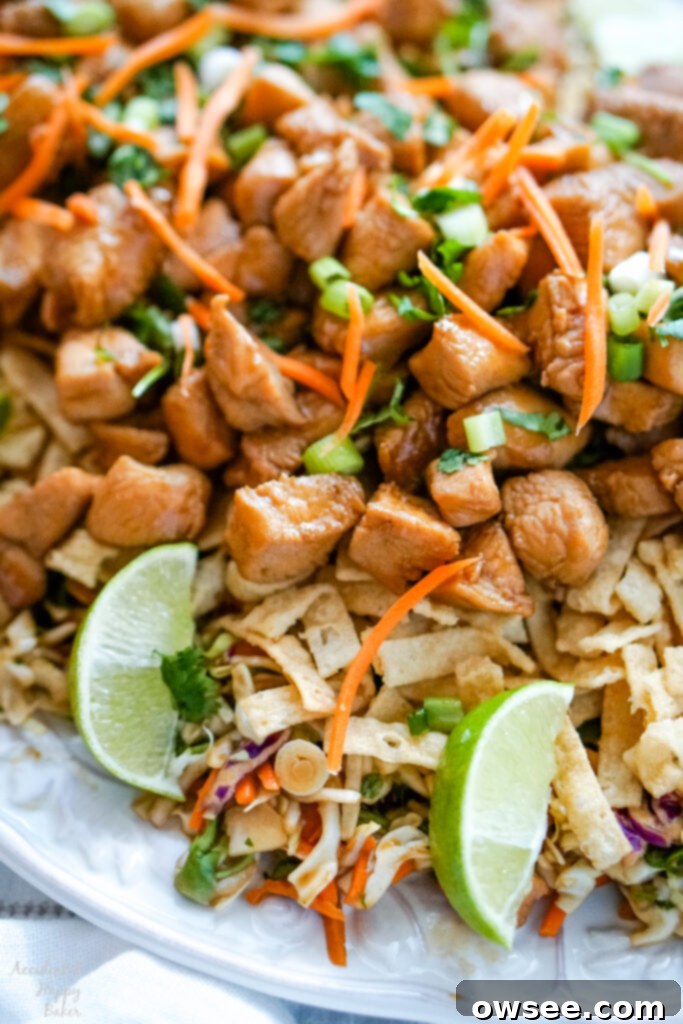 Crispy Wonton Chicken Taco Salad 2 A close-up image showing the vibrant components of the finished Wonton Chicken Taco Salad, highlighting the chicken, fresh greens, and crispy wonton strips.