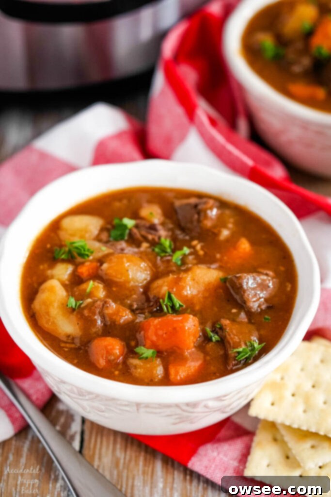 Effortless Instant Pot Beef Stew 8 Instant Pot Beef Stew with various vegetables