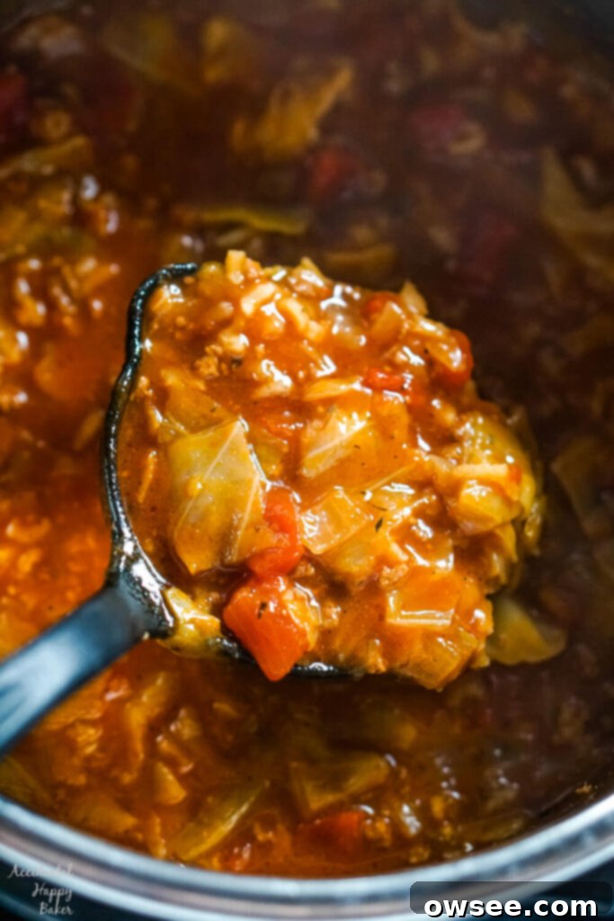 Instant Pot Cabbage Roll Soup with Stove Top Directions 7 A ladle full of the finished instant pot cabbage roll soup.