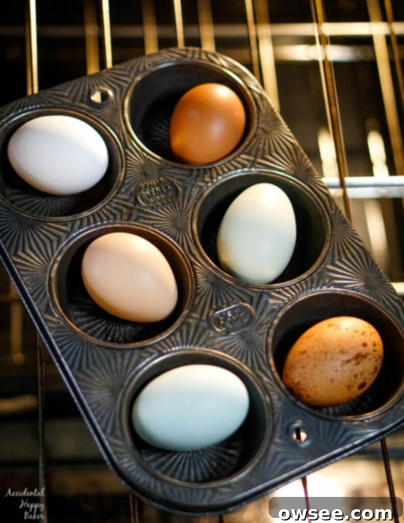 Achieve Perfect Hard Boiled Eggs Every Time 5 Colorful farm eggs in a muffin tin on an oven rack.