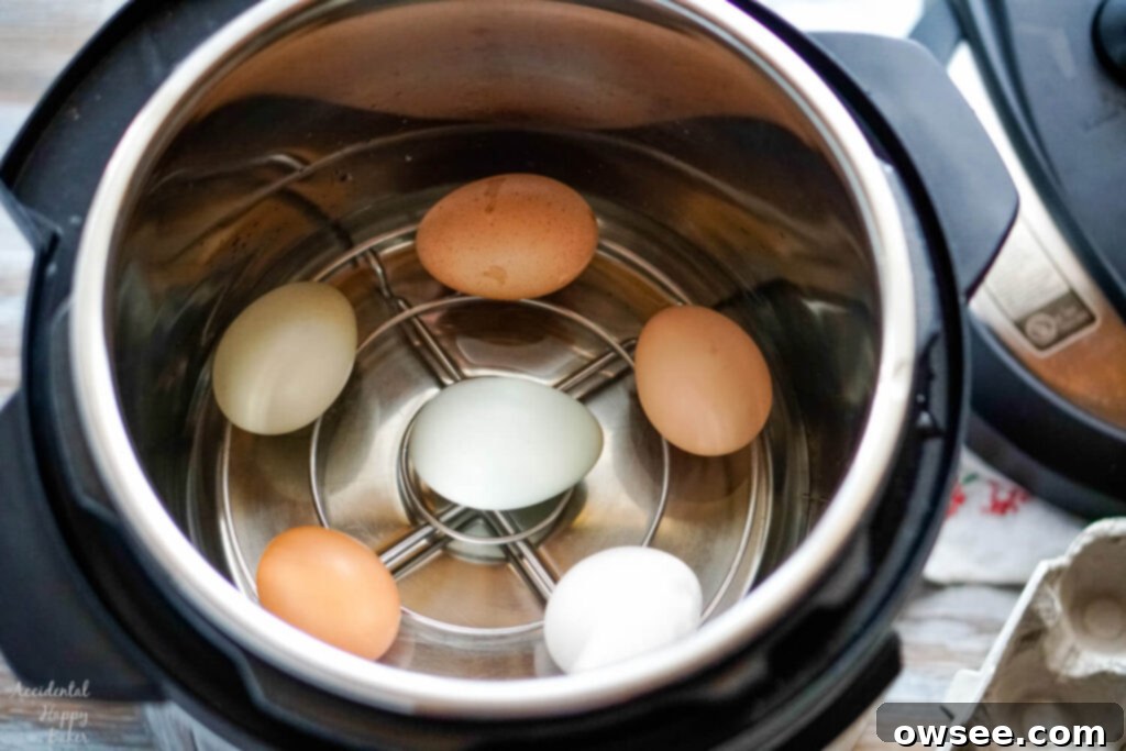 Achieve Perfect Hard Boiled Eggs Every Time 6 Eggs on a rack inside an instant pot.