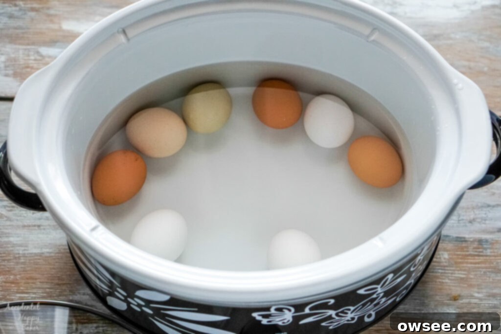 Achieve Perfect Hard Boiled Eggs Every Time 8 Hard boiled eggs in the slow cooker.
