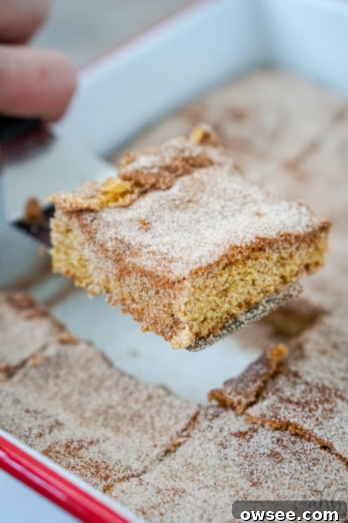 Churro Blondies 3 A close-up of a churro bar with a fork taking a bite, showing its soft and chewy texture.