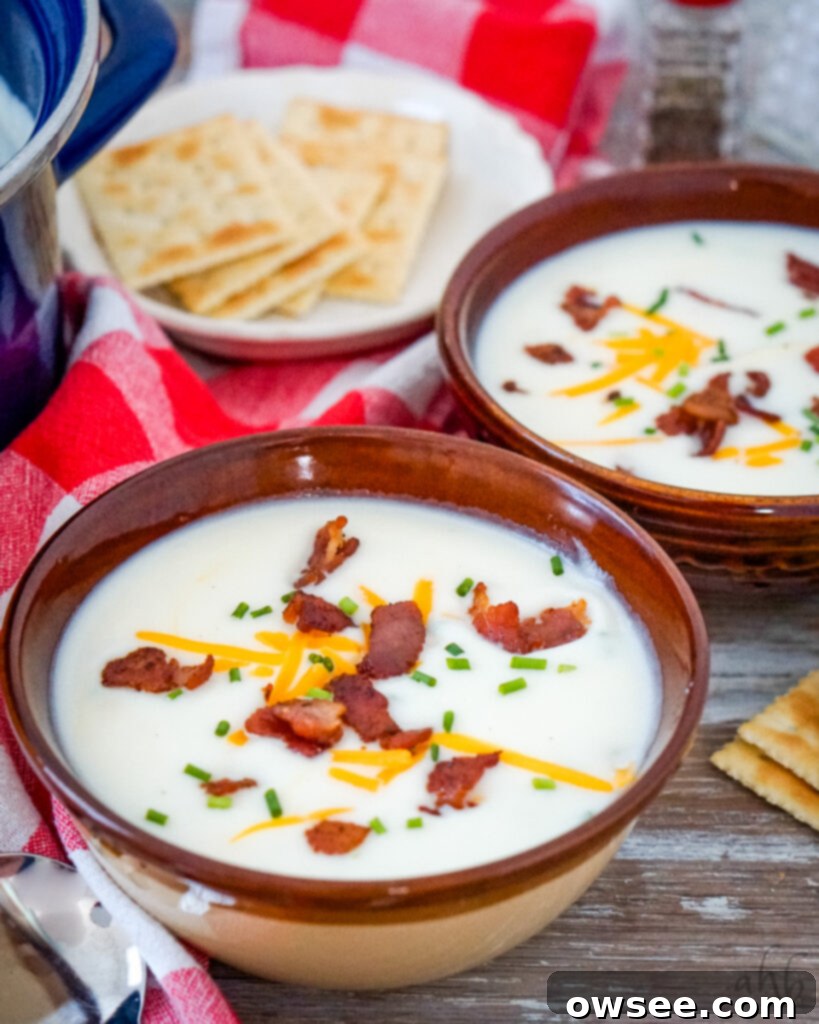 Effortless Four-Ingredient Potato Soup 2 Easy four ingredient potato soup in a brown bowl topped with bacon pieces, shredded cheddar, and chopped chives.