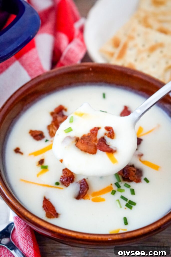 Effortless Four-Ingredient Potato Soup 5 A spoonful of 4 ingredient potato soup topped with bacon pieces, shredded cheddar cheese, and chopped chives over a brown bowl of soup.