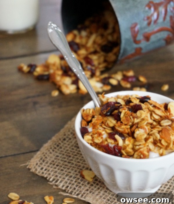 Wholesome Cranberry Almond Granola 2 Cranberry Almond Granola