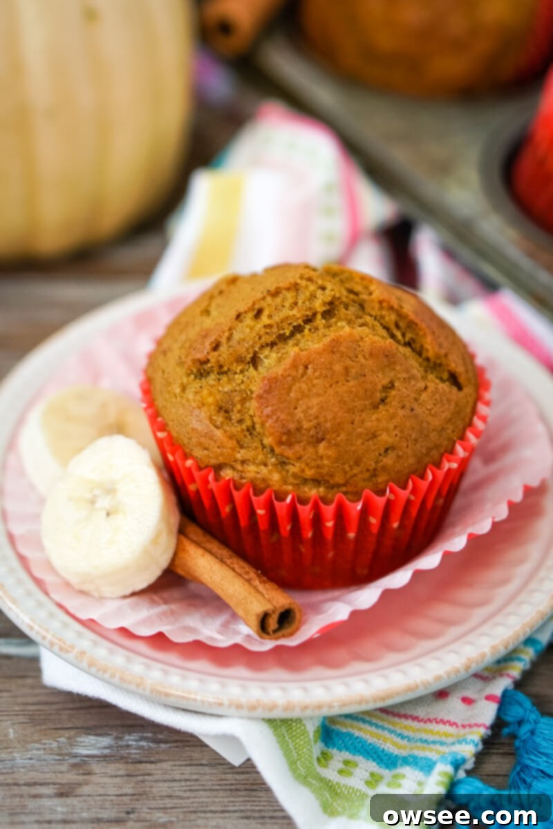 Golden Spiced Banana Pumpkin Muffins 10 A beautifully baked pumpkin banana muffin, perfectly moist and fluffy, ready to be enjoyed as a delightful breakfast or snack.