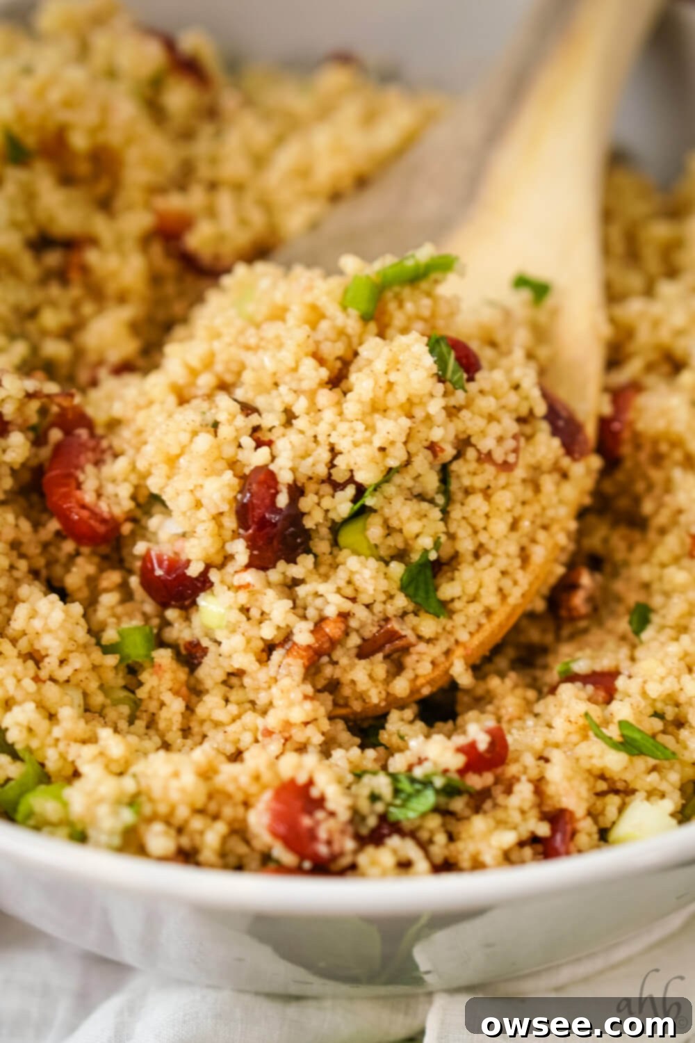 Vibrant Cranberry Couscous Salad 2 A wooden spoonful of cranberry couscous salad in a white bowl, showcasing the vibrant colors and textures of the cranberries, couscous, and pecans.
