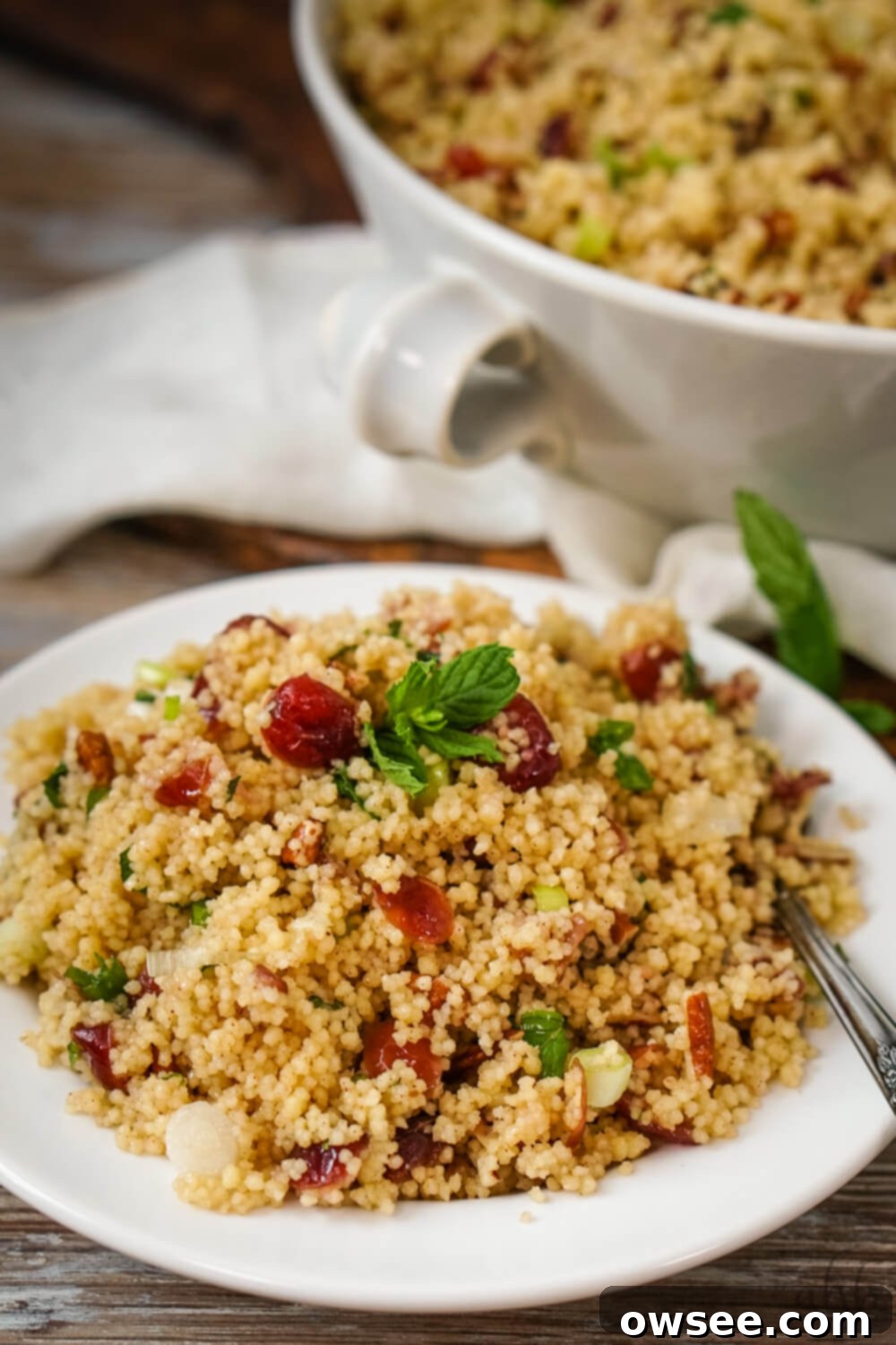 Vibrant Cranberry Couscous Salad 3 A perfectly portioned serving of cranberry couscous salad on a white plate, ready to enjoy.