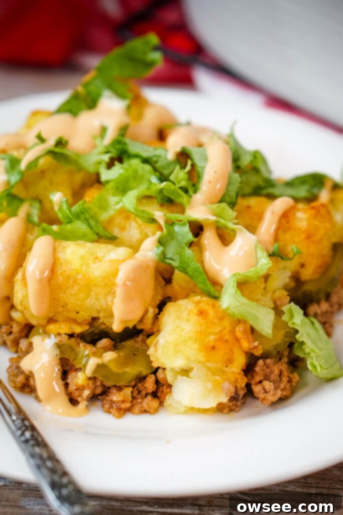 Big Mac Tater Tot Bake 2 Big Mac Tater Tot Casserole topped with freshly shredded lettuce and Thousand Island dressing.