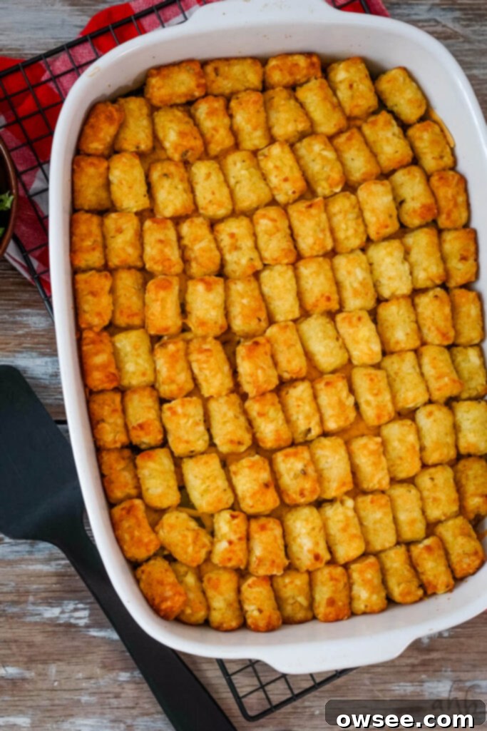 Big Mac Tater Tot Bake 11 The freshly baked casserole with golden brown tater tots sits on a black cooling rack.