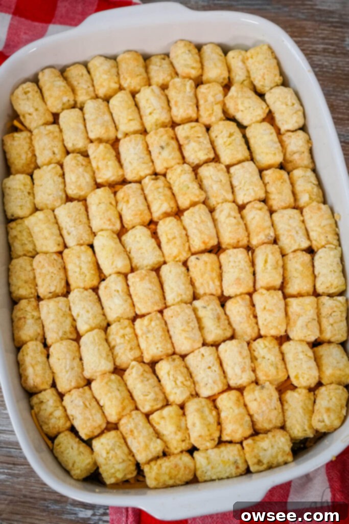 Big Mac Tater Tot Bake 10 Ground beef, pickles, and shredded cheddar are topped with tater tots in a white baking dish.