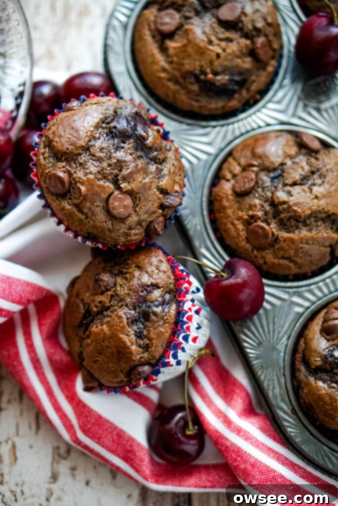 Cherry Chocolate Muffins 3 Two perfect Cherry Chocolate muffins sit next to a pan filled with more muffins and scattered fresh cherries, ready to be enjoyed.