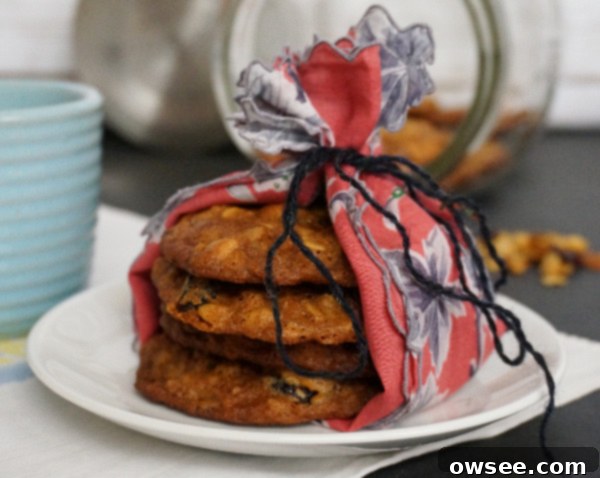 Guilt-Free Granola Cookie Delights 2 Granola Cookies