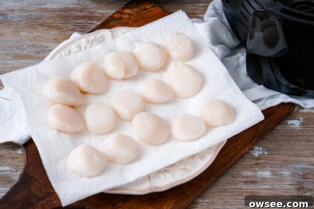 Crispy Air Fryer Scallops 5 Patted and dried sea scallops sit on a paper towel on a plate, showing moisture removed for optimal searing.