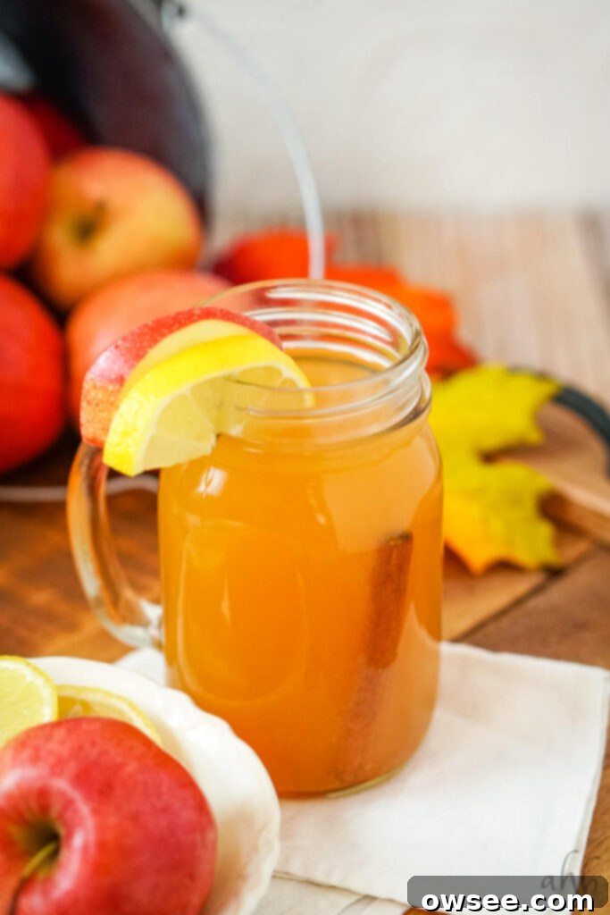 Sunburst Cider 3 A single glass of festive Lemonade Cider, elegantly garnished with a fresh apple slice, a bright lemon slice, and a rustic cinnamon stick, ready to be enjoyed.